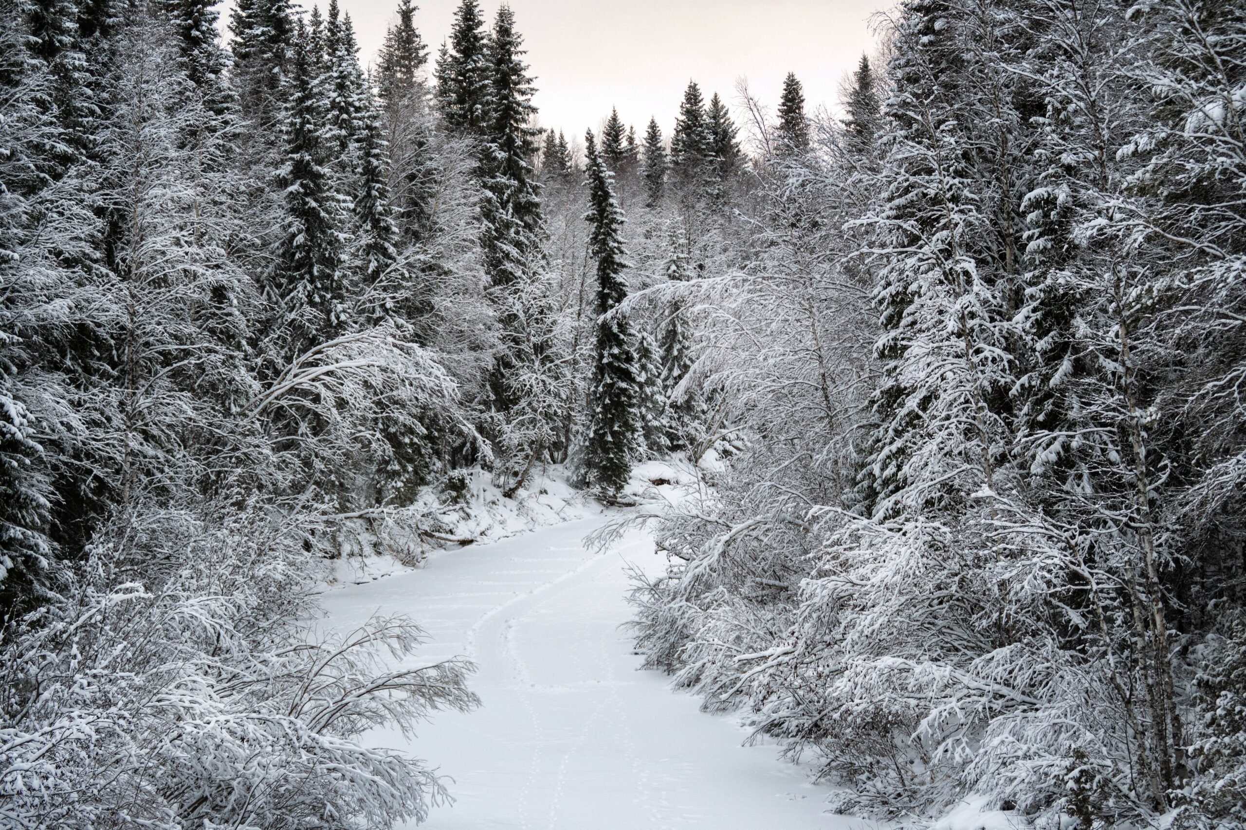 The Best Skin Care in Winter: 