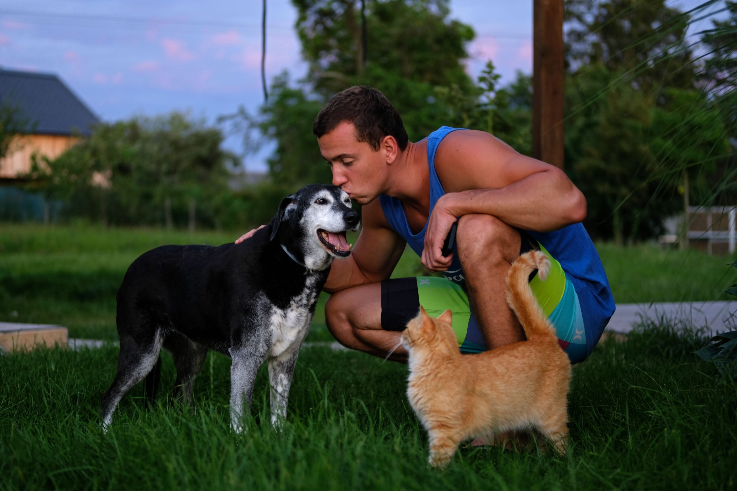 Traveling with Pets: Tips for a Stress-Free Journey