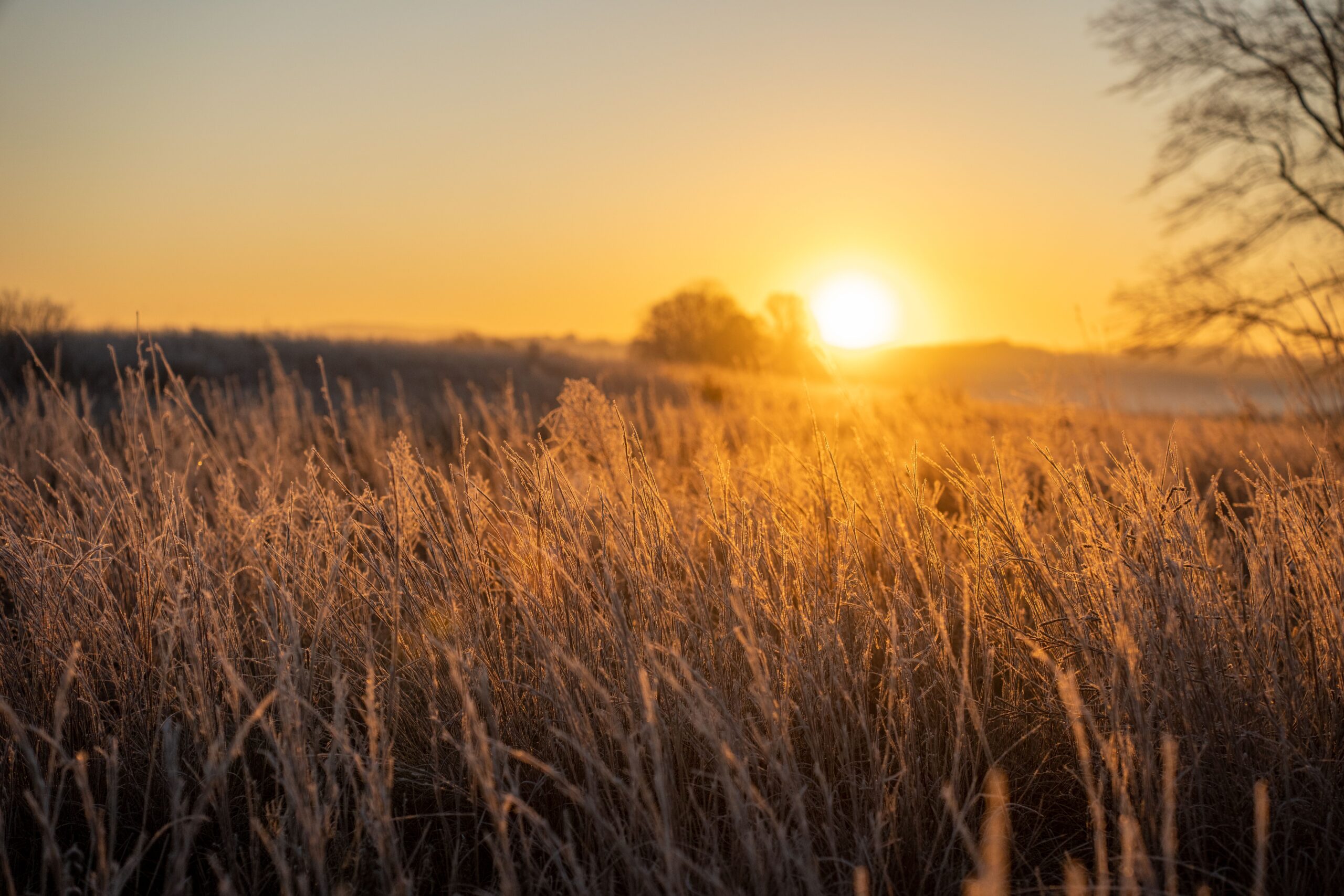  1.Sunrise Secrets: Morning Habits for a Natural Glow